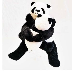panda maci kis bocsával